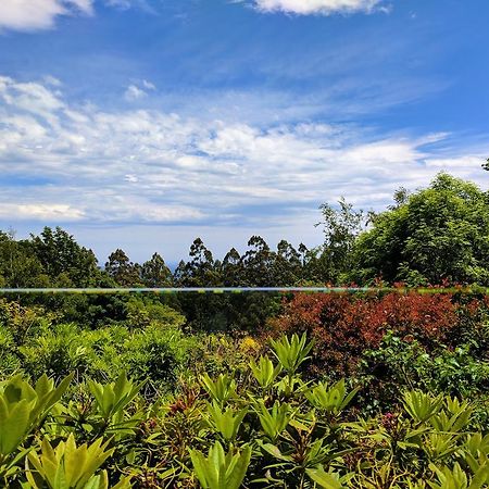 Annie Roes Luxury B&B Bend of Islands Extérieur photo