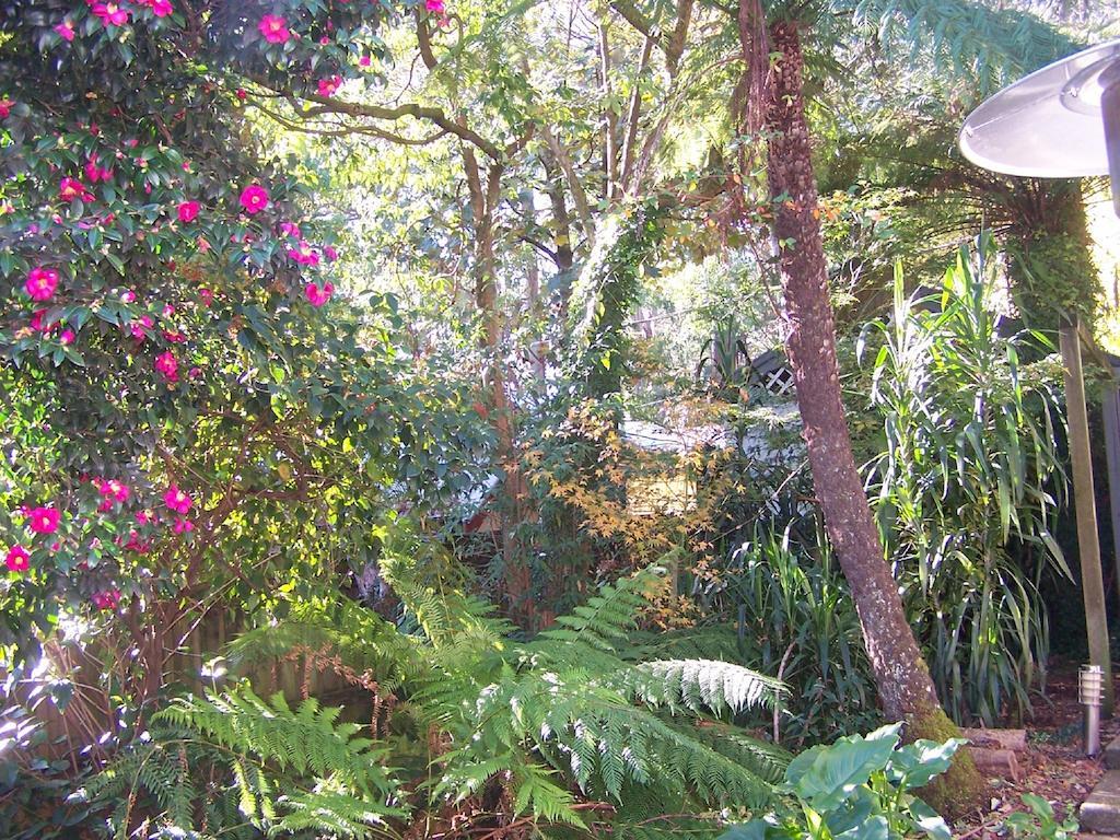 Annie Roes Luxury B&B Bend of Islands Extérieur photo