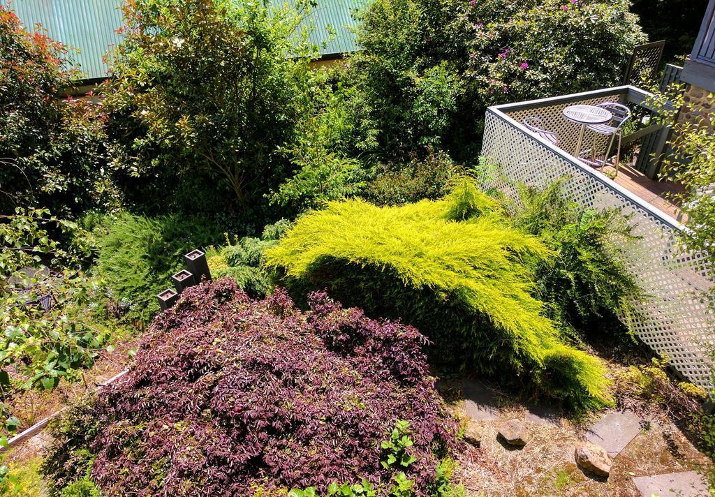 Annie Roes Luxury B&B Bend of Islands Extérieur photo
